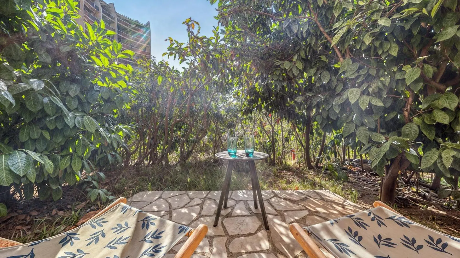 Evasion Provencale - Piscine Et Mer A Mandelieu Appartement