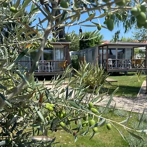 Camping Les Cigales Camping